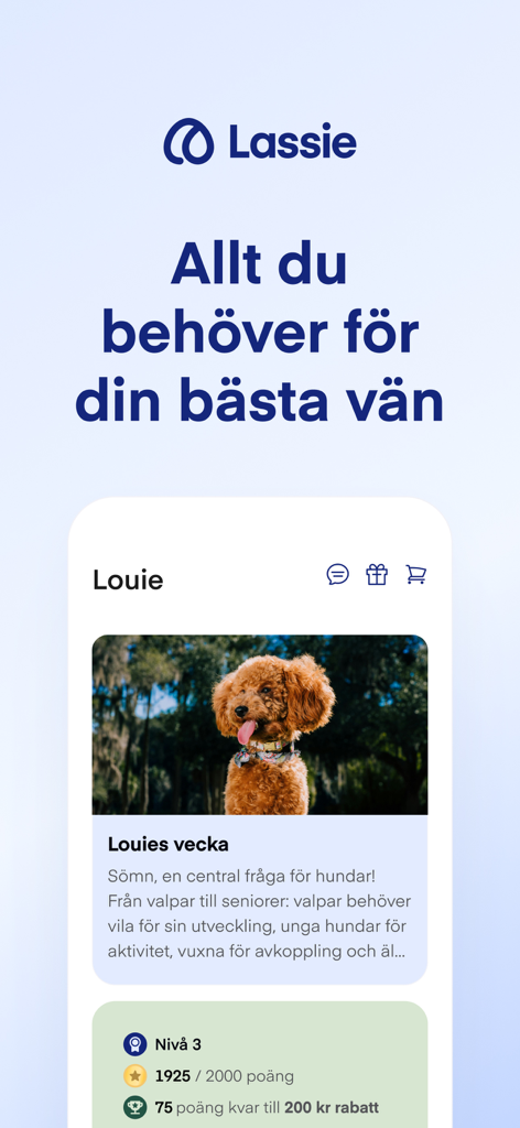 Lassie - Lassie pet insurance app dashboard showing pet health tips for a poodle and a gamified rewards system for insurance discounts