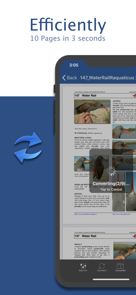PDF to Word by Flyingbee - App interface demonstrating fast PDF to Word conversion speed.