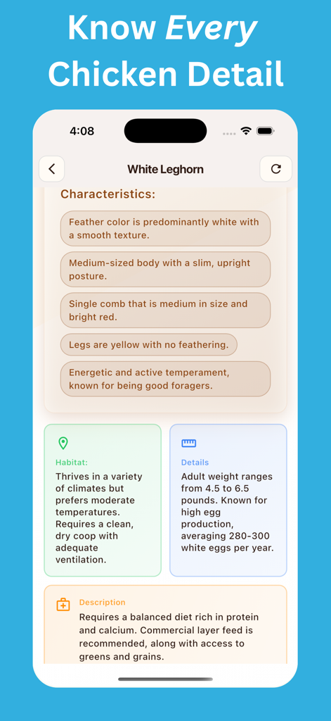 Chicken Identifier: AI Scan - Detailed breed profile for a White Leghorn chicken including habitat and care tips.