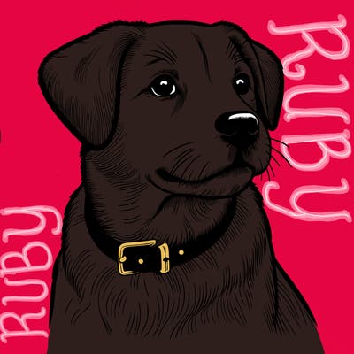 dog realistic