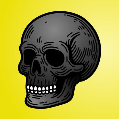 skull
