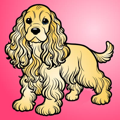cocker spaniel