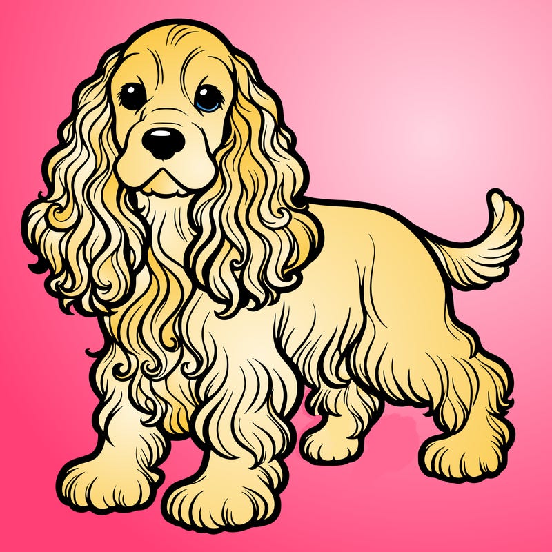cocker spaniel