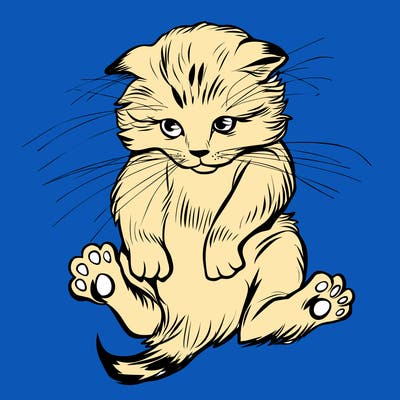 animals_20