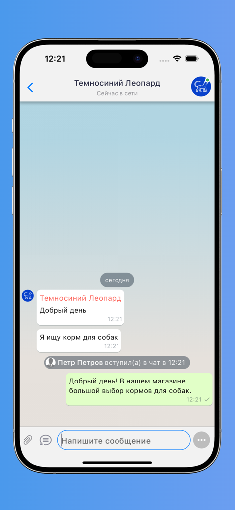 Interfaccia di chat mobile per titolari di attività commerciali per rispondere ai visitatori del sito web