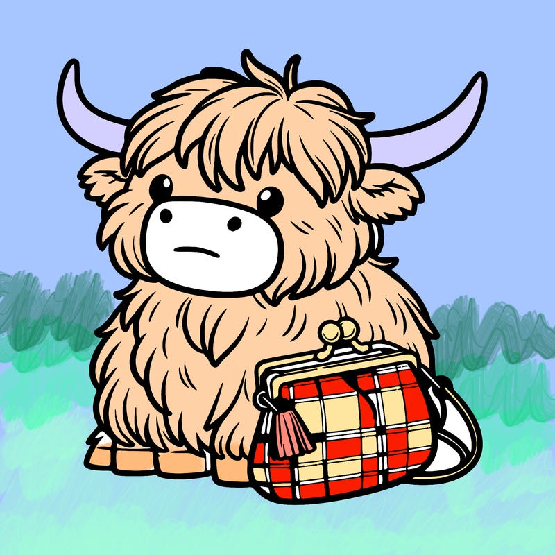highland cow in a purse