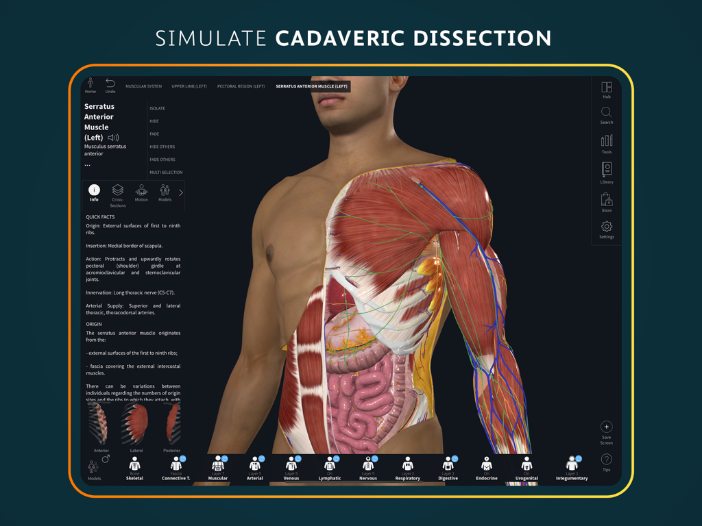 Complete Anatomy for iPad - 상세한 근육 및 내부 장기 계층이 포함된 카다버 해부를 시뮬레이션하는 iPad의 3D 인체 해부학 모델