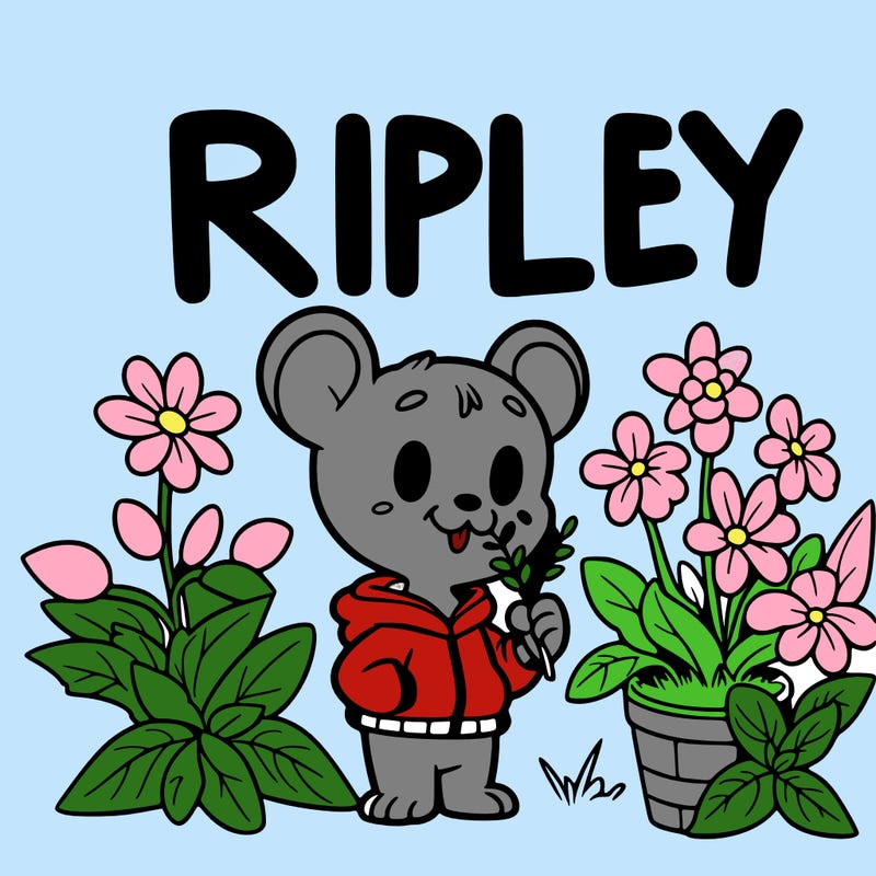 the name ripley with flowers