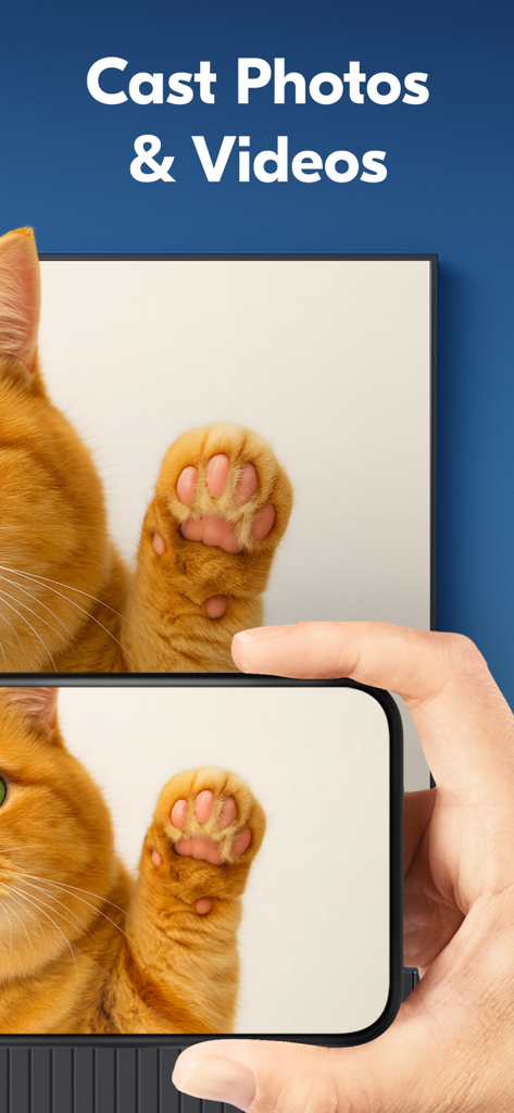 Screen Mirroring ‣ Cast to TV - A person casting a photo of a cat paw from an iPhone to a larger TV screen