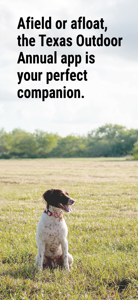 Texas Outdoor Annual - A hunting dog sitting in a field with text describing the Texas Outdoor Annual app as the perfect companion for being afield or afloat.