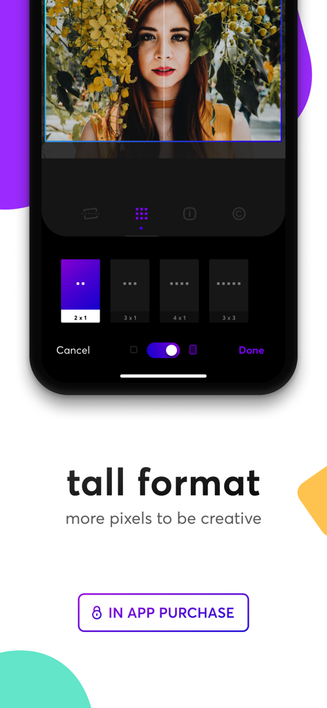 Panols - Panols app interface showing the tall format feature for splitting photos into Instagram grids