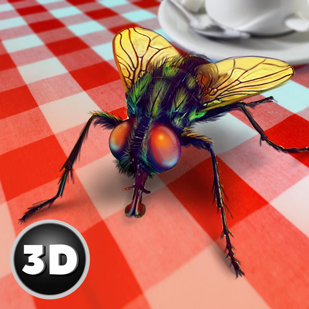 House Fly Insect Survival Simulator - Games App | MWM