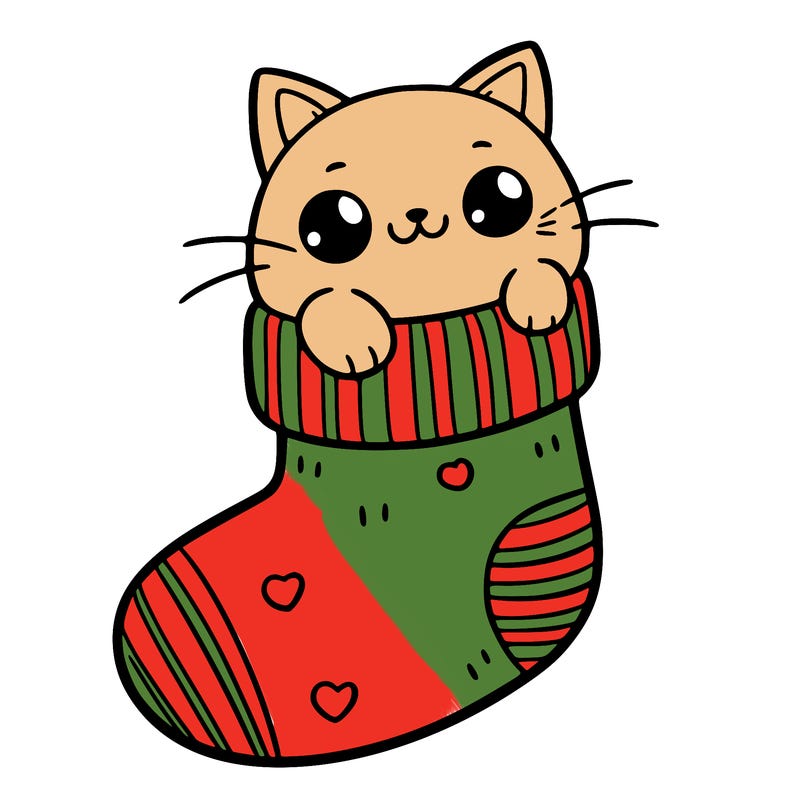 cute cat in a sock