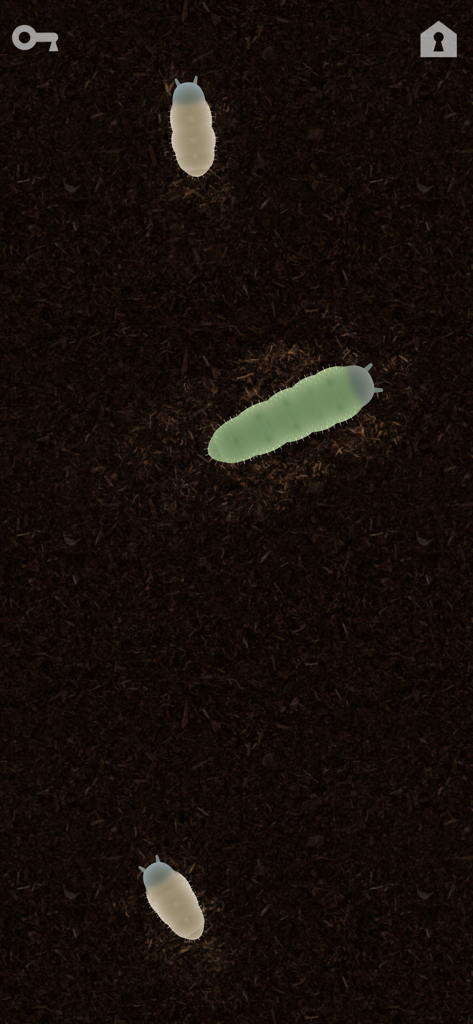A digital screen showing larvae crawling on a soil texture background from the CAT ALONE cat toy app.