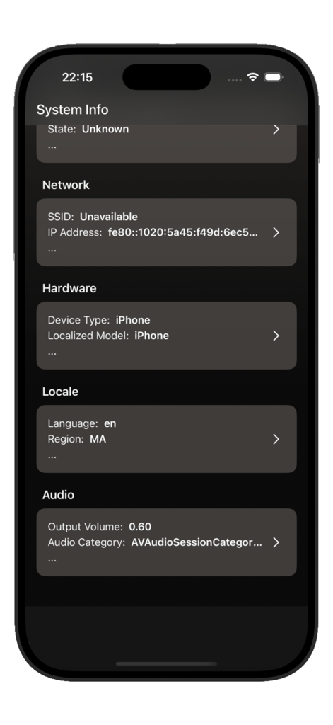 Shizuku Tool - Shizuku Tool system information dashboard showing network hardware locale and audio settings on an iPhone