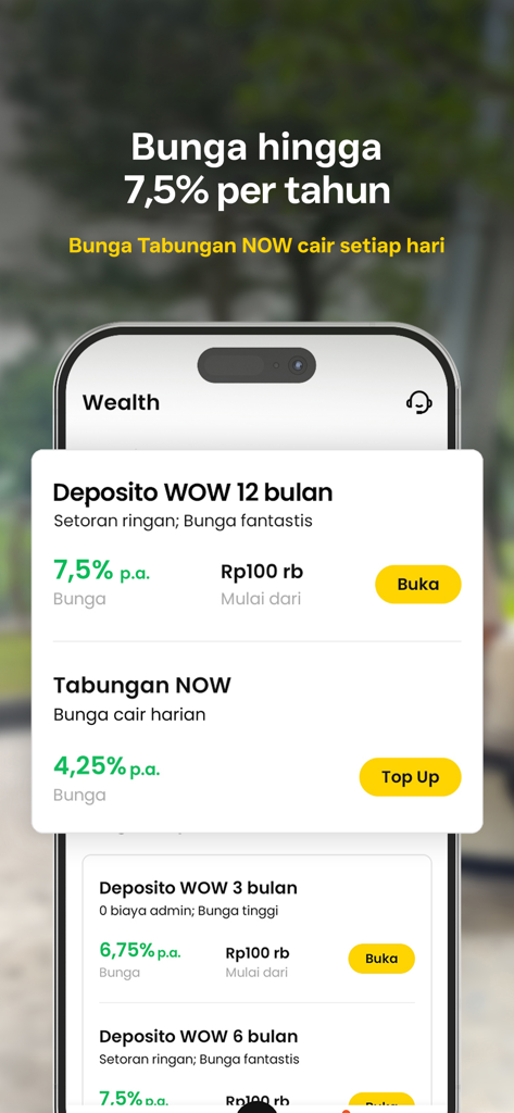 Mobile screen of the neobank app wealth section showing high interest rates for savings and WOW deposits
