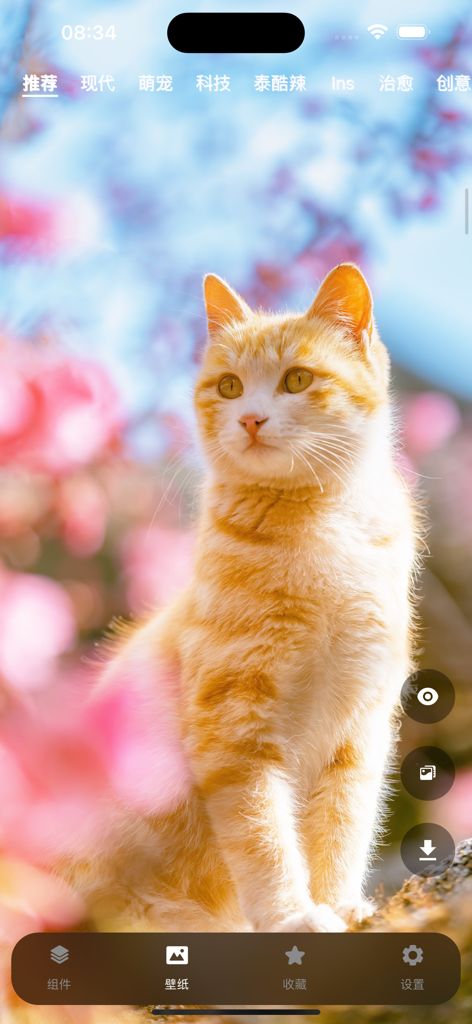 TwoTwoWidgets - 万能桌面小组件盒子壁纸美化 - A mobile app screen for TwoTwoWidgets showing a high quality wallpaper of an orange tabby cat surrounded by pink flowers