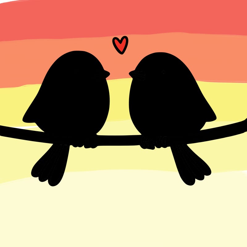 two birds on a wire