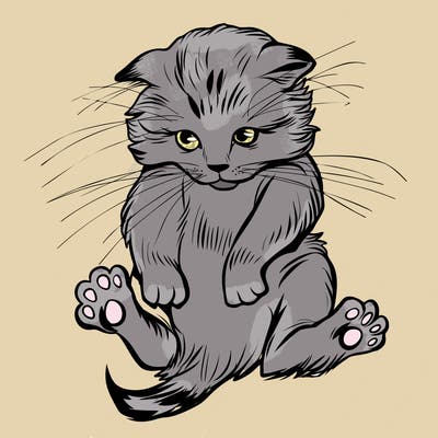 animals_20