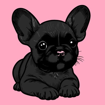 adorable frenchie puppy realistic