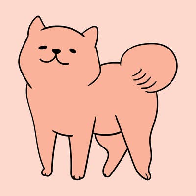 animals_29
