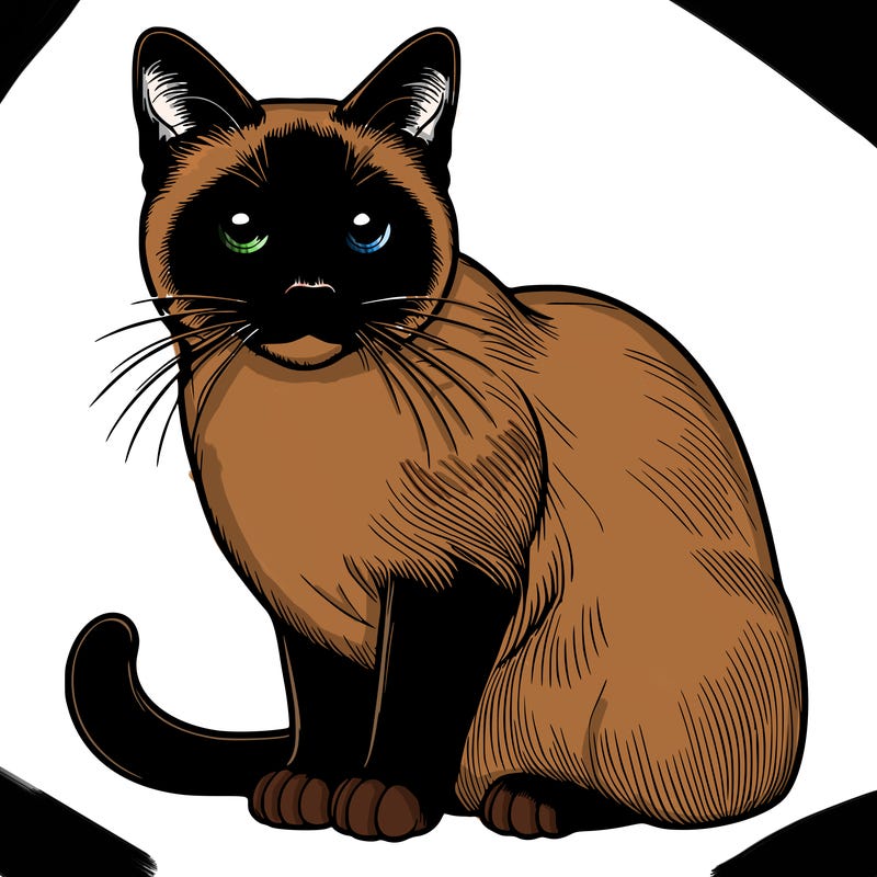 realistic siamese cat