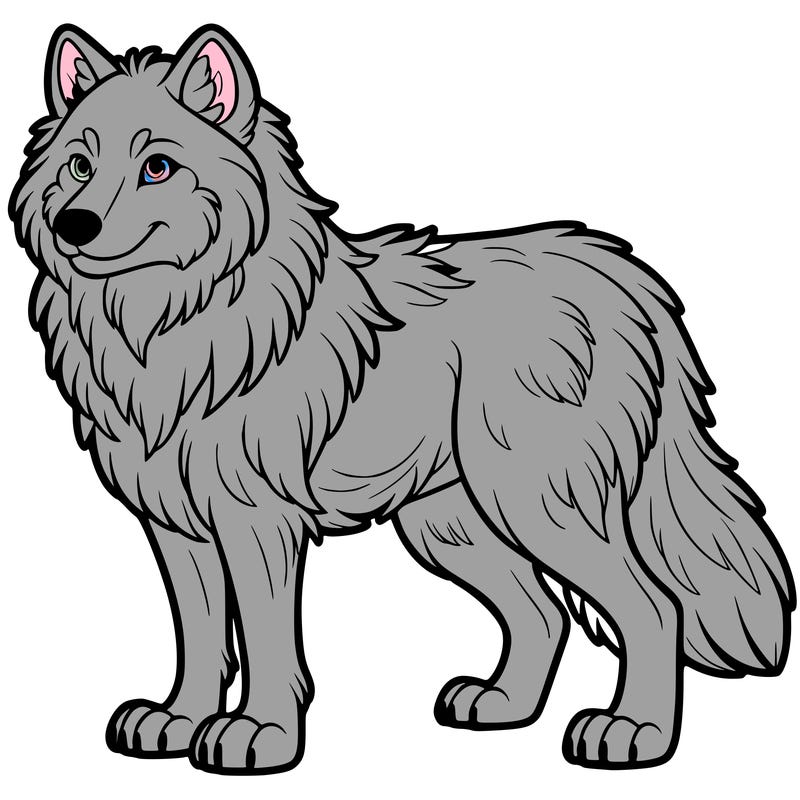 wolf
