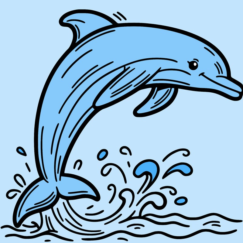 dolphin
