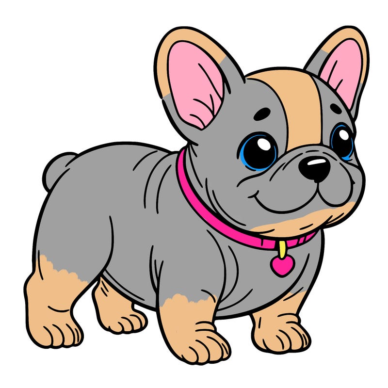 french bulldog