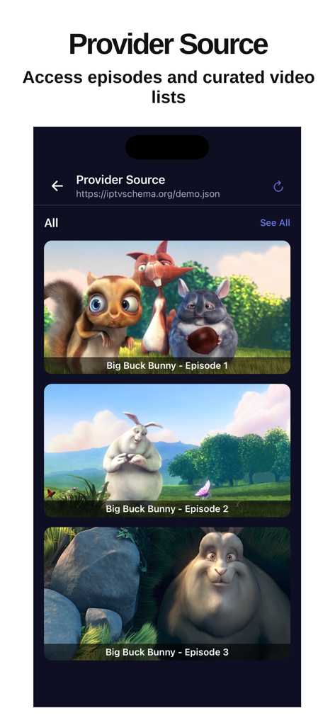 Capture d'écran de l'application SunPlay montrant une liste de vidéos organisées avec des épisodes provenant d'une source fournisseur.