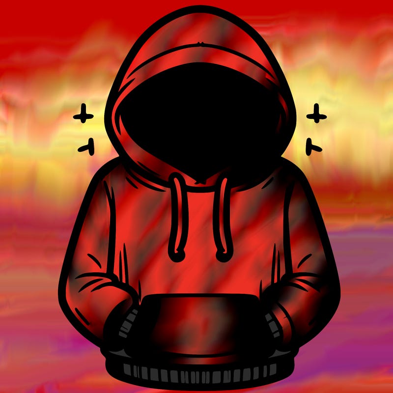 hoodie