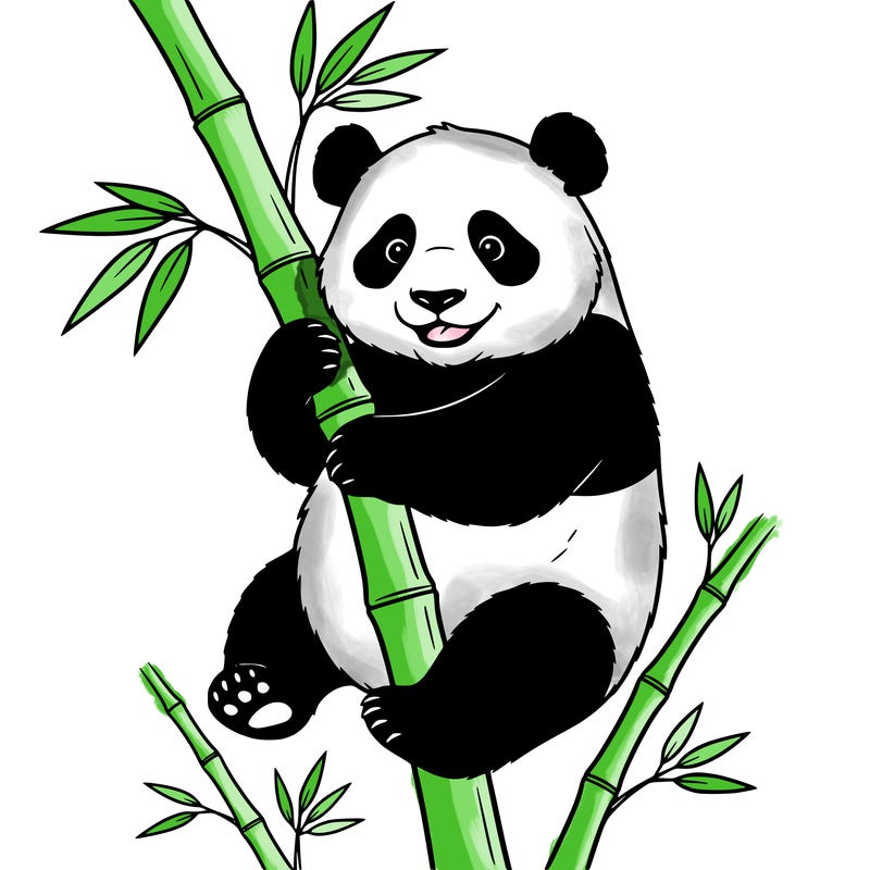 🐼