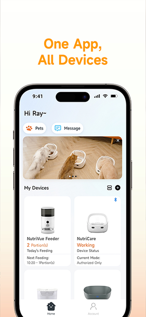 Petoneer app dashboard showing smart feeder and fountain management with a pet camera feed