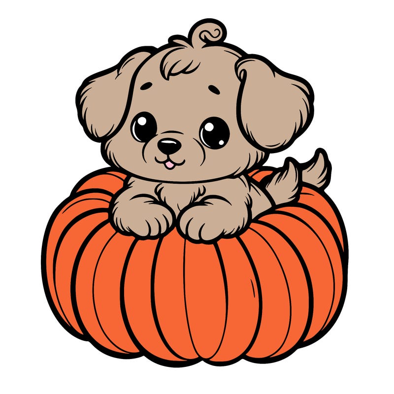 cute little puppy in a pumpkin