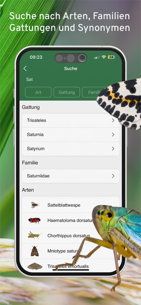 A mobile app screen showing the search feature for insects with categories for genus, family, and species.