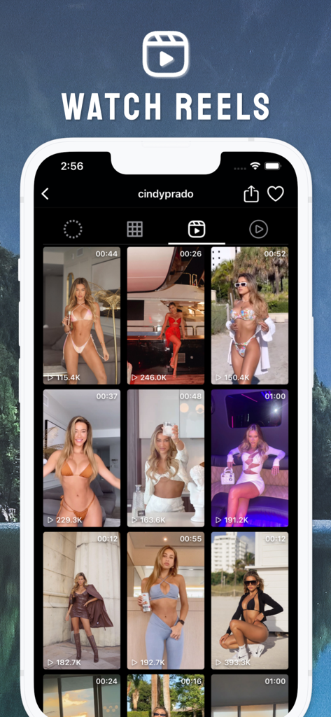 Profile Story Viewer by Poze - Mobile screen of the Poze app showing a grid of Instagram Reels from a user profile