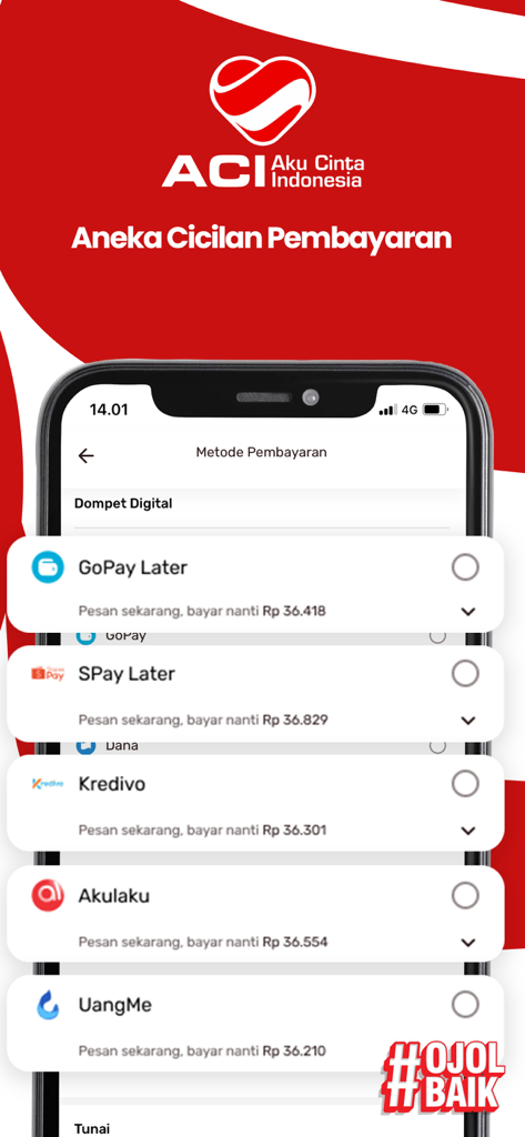 A screen from the ACI app showing various digital payment and installment options