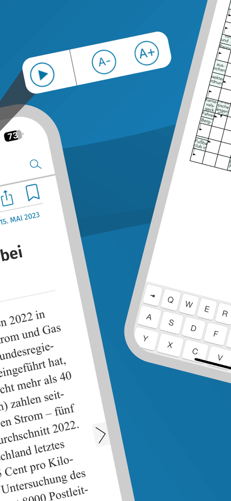 WP E-Paper - Aplicativo WP E-Paper exibindo botões de ajuste de tamanho de texto e um quebra-cabeça interativo de palavras cruzadas