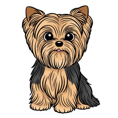 yorkie