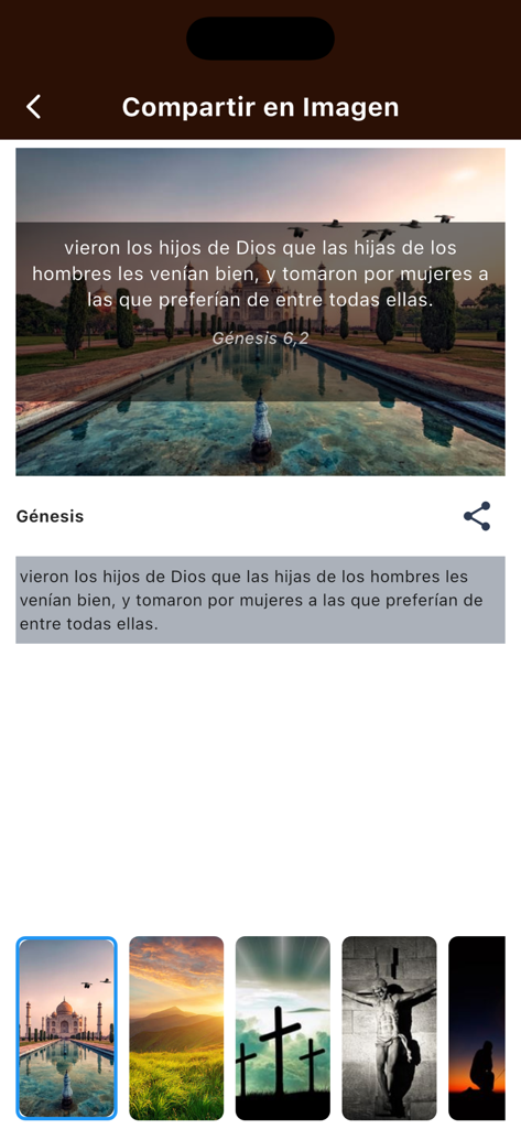 Santa Biblia Catolica Romana - Interfaz de la aplicación Biblia Católica para compartir versículos como imágenes hermosas con fondos personalizados