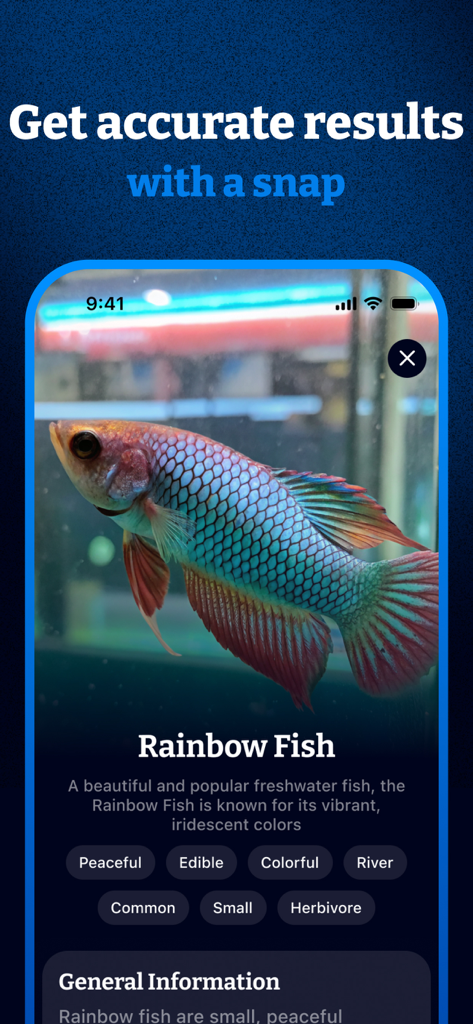 Fish Identifier & Scanner App - Interface of the Fish Identifier app showing species information for a Rainbow Fish