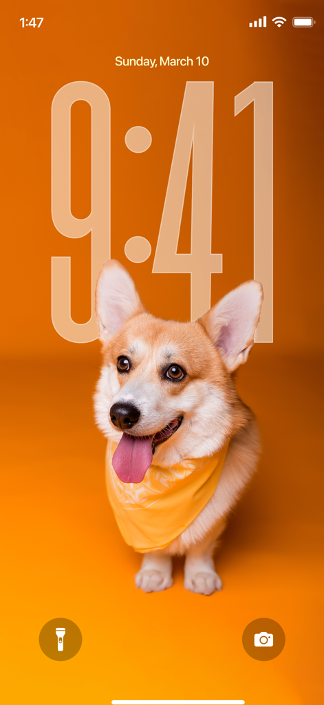 Wallpapers 4K HD Live Themes - iPhone lock screen featuring a cute Corgi dog with a yellow bandana on a vibrant orange background