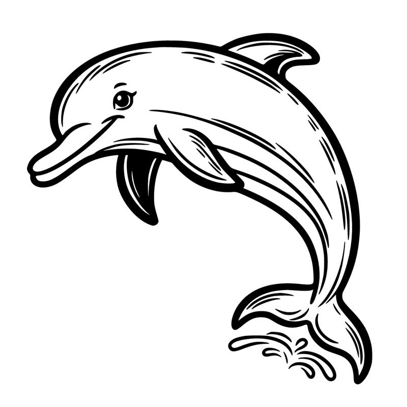 dolphin