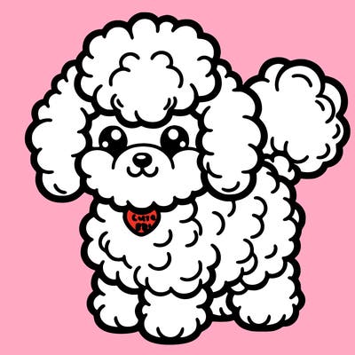 kinda fluffy toy poodle