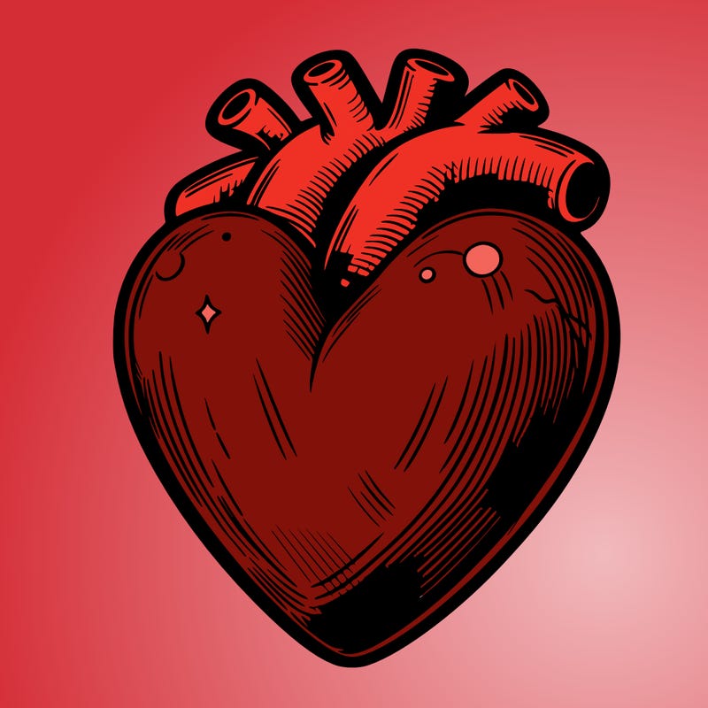realistic heart