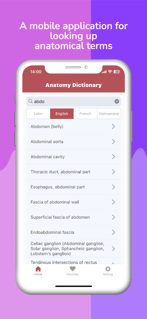 Anatomy Terms - Interfaz de una aplicación móvil para buscar términos anatómicos que muestra resultados de búsqueda para términos abdominales en inglés