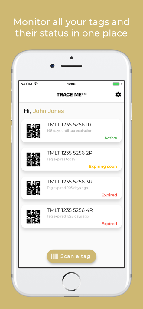 Trace Me Luggage Tracker - Trace Me app interface showing a list of registered luggage tags and their current status