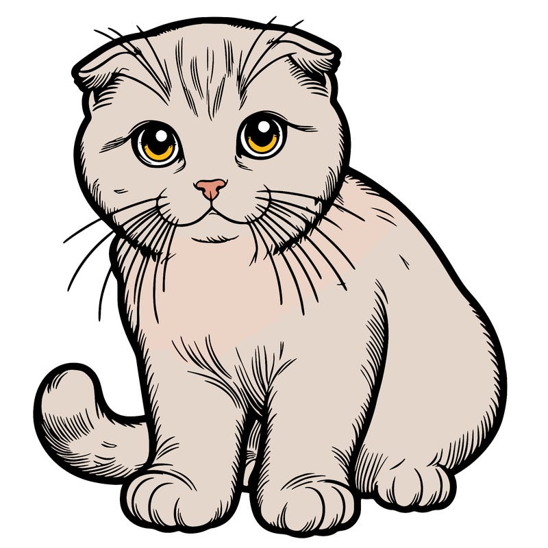 a beautiful realistic scottish fold cat