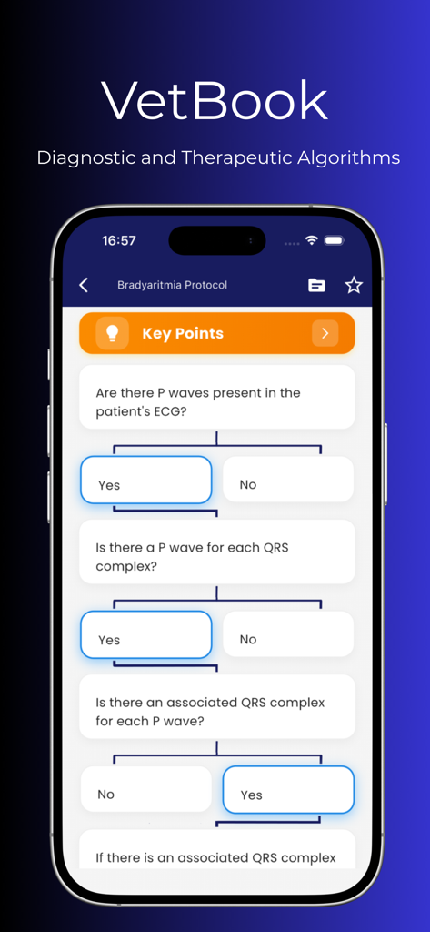 Vetbook app interface displaying a step by step diagnostic and therapeutic algorithm for a bradycardia protocol.