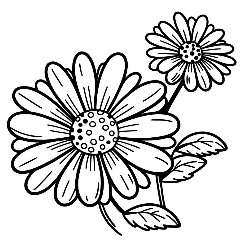 daisy flower